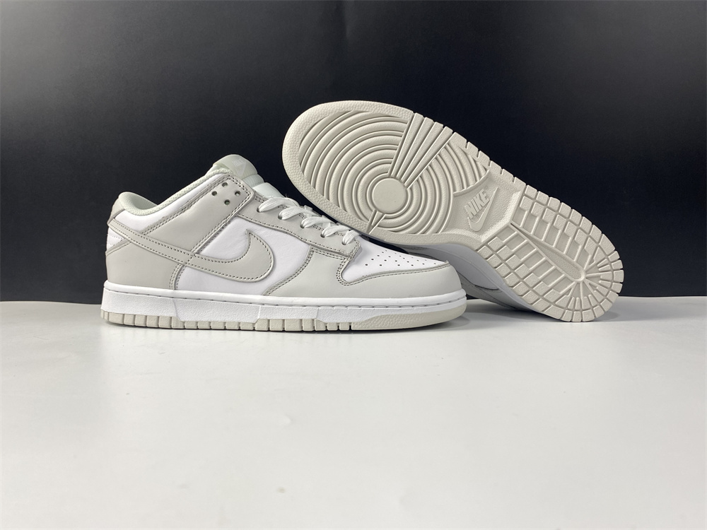 Nike Dunk Low Photon Dust DD1503-103