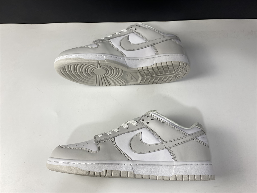 Nike Dunk Low Photon Dust DD1503-103