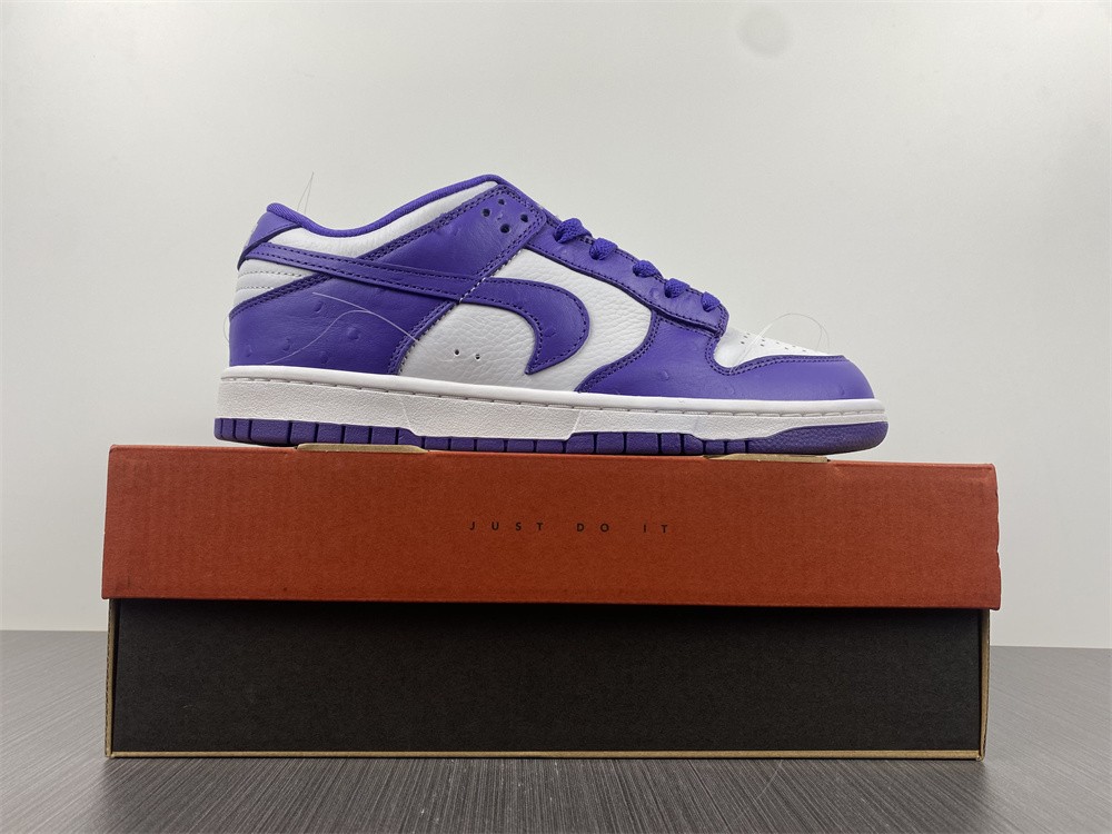Nike Dunk Low Flip the Old School (W) DJ4636-100