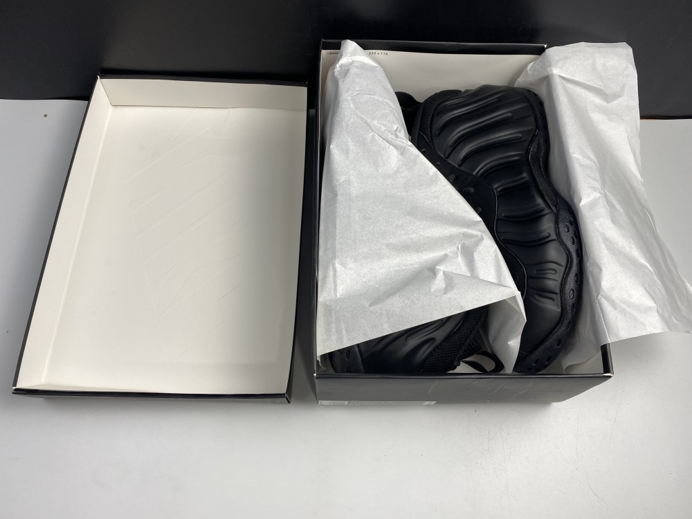 Nike Air Foamposite One Anthracite (2020) 314996-001