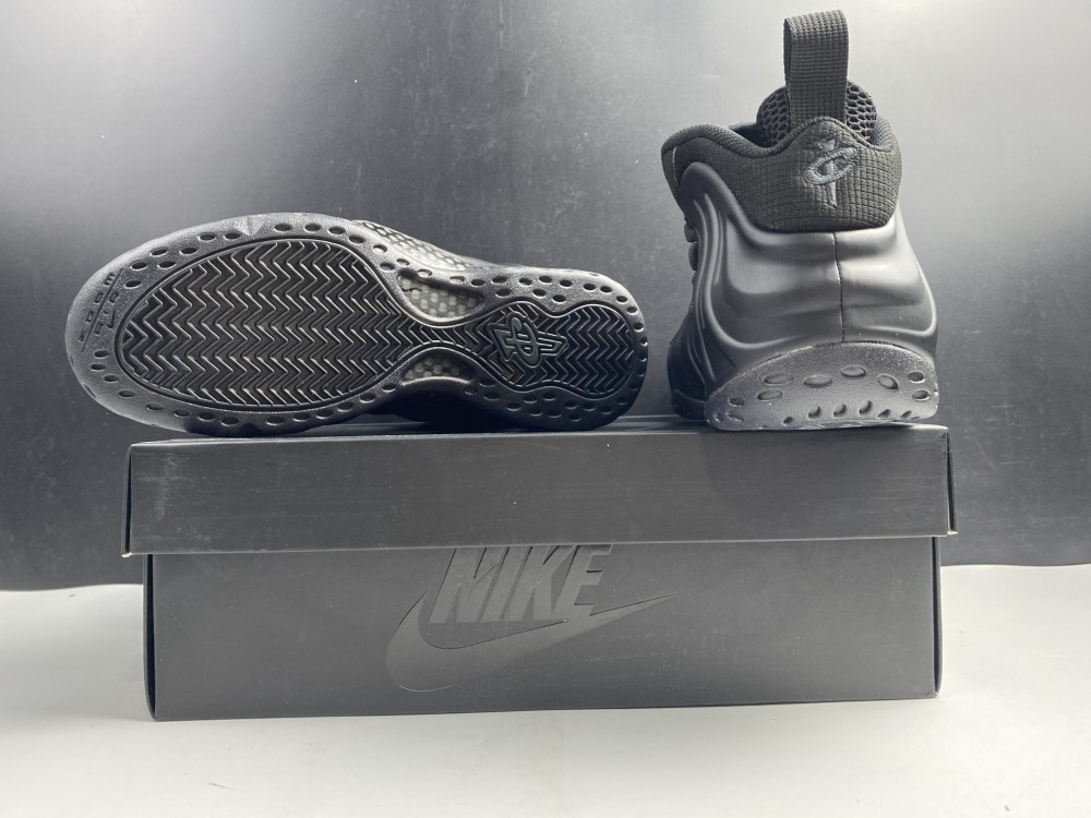 Nike Air Foamposite One Anthracite (2020) 314996-001