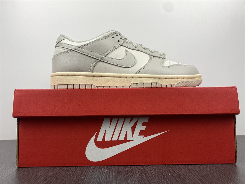 Nike Dunk Low Sail Light Bone DD1503-107