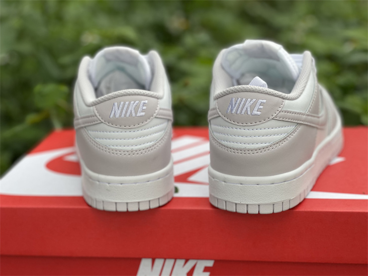 Nike Dunk Low Venice  DD1503-116