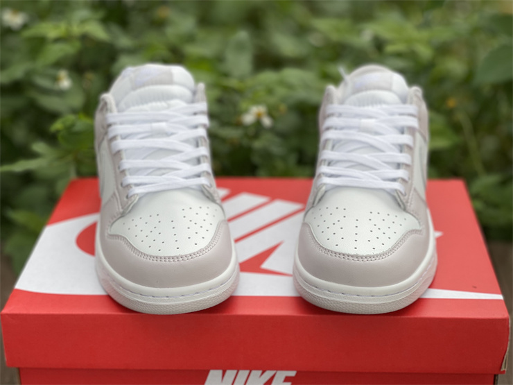 Nike Dunk Low Venice  DD1503-116
