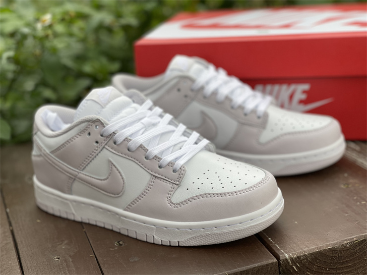 Nike Dunk Low Venice  DD1503-116