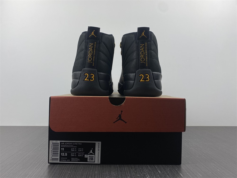 Air Jordan 12 Black Taxi CT8013-071