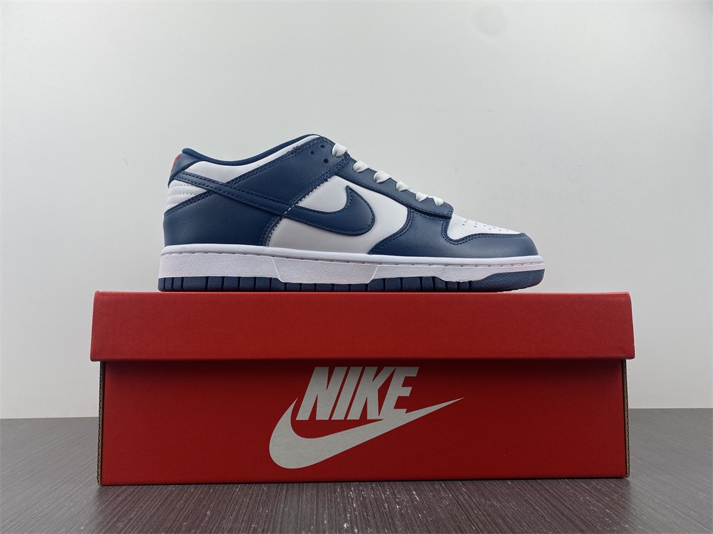 Nike Dunk Low Valerian Blue  DD1391-400