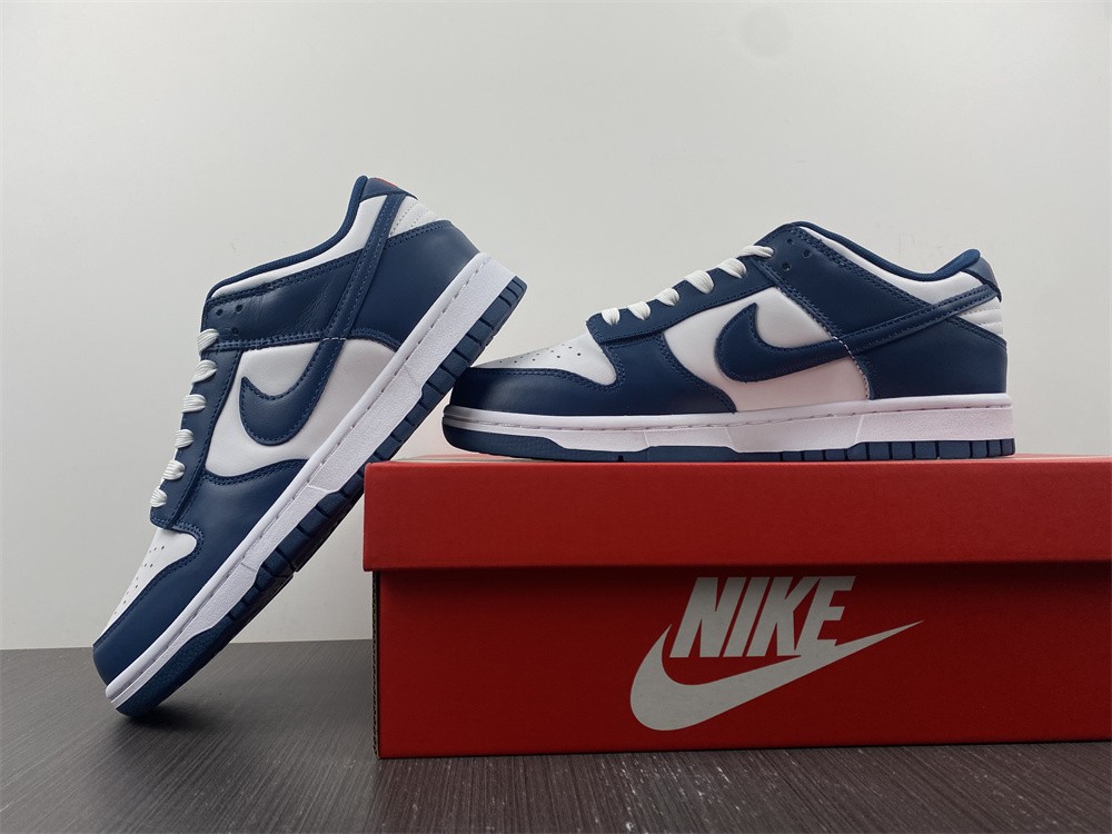 Nike Dunk Low Valerian Blue  DD1391-400