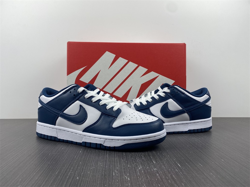 Nike Dunk Low Valerian Blue  DD1391-400