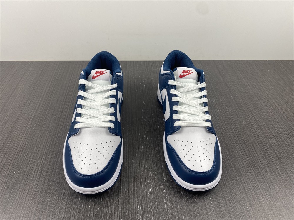 Nike Dunk Low Valerian Blue  DD1391-400