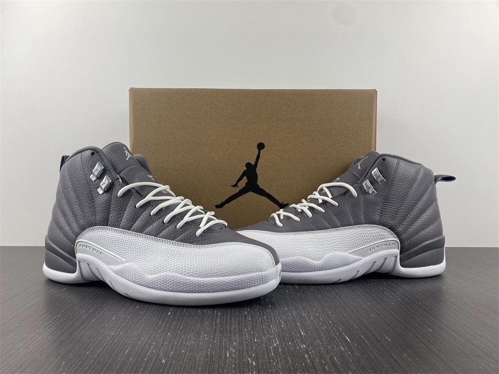 Jordan 12 Retro Stealth  CT8013-015