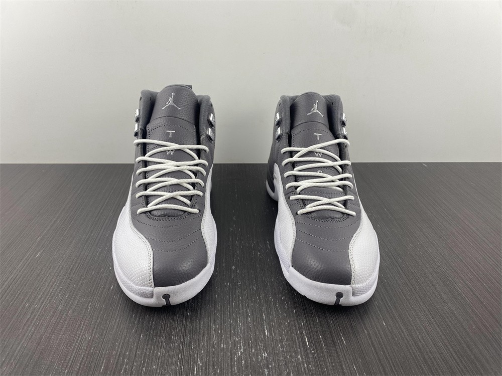 Jordan 12 Retro Stealth  CT8013-015