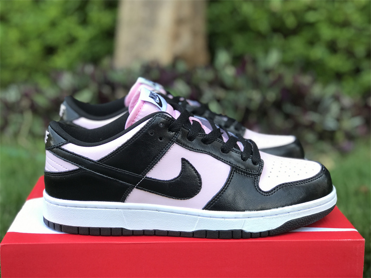 Nike Dunk Low DJ9955-600