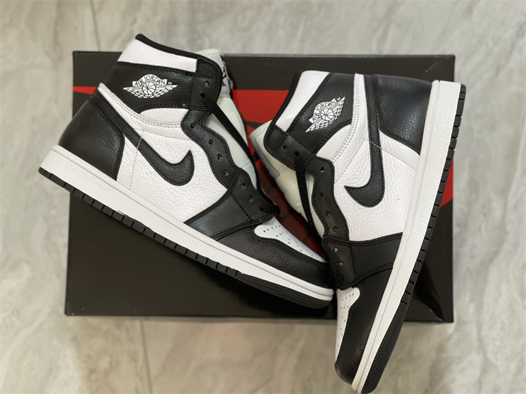 Jordan 1 Mid Split Black White (W)  DR0501-101