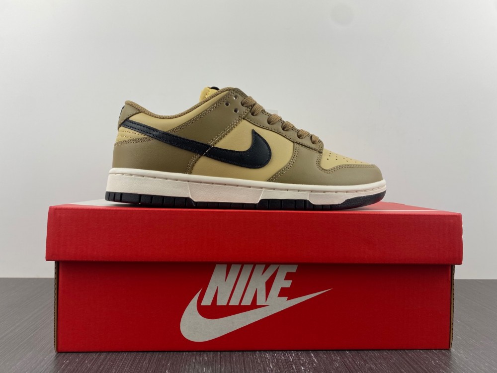 Nike Dunk Low Dark Driftwood (W) DD1503-200