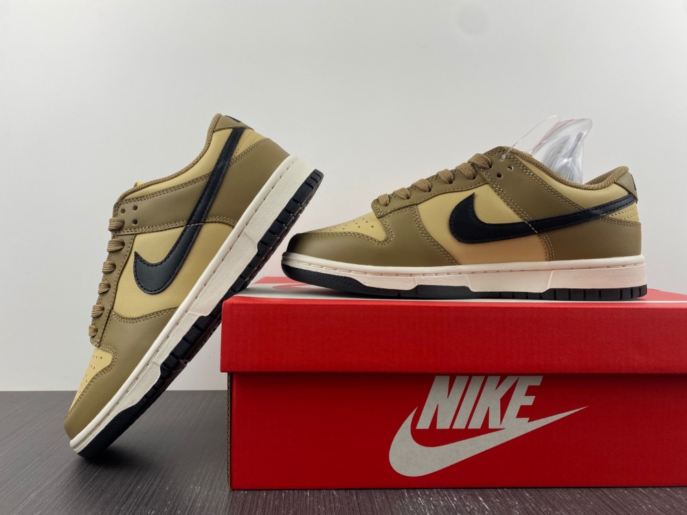 Nike Dunk Low Dark Driftwood (W) DD1503-200