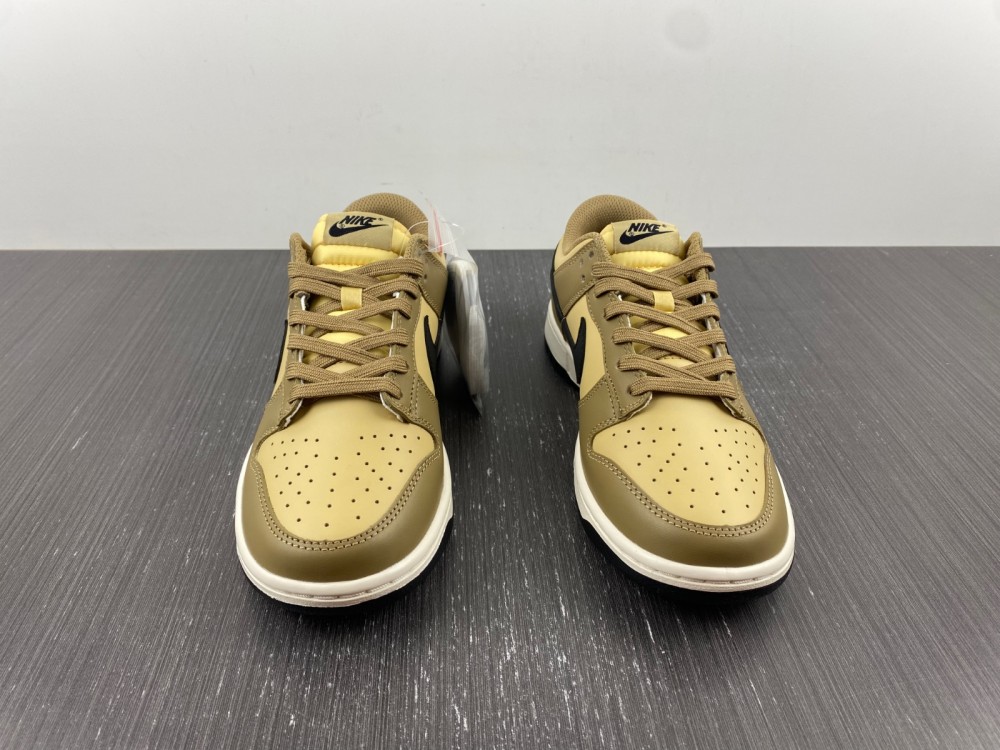 Nike Dunk Low Dark Driftwood (W) DD1503-200
