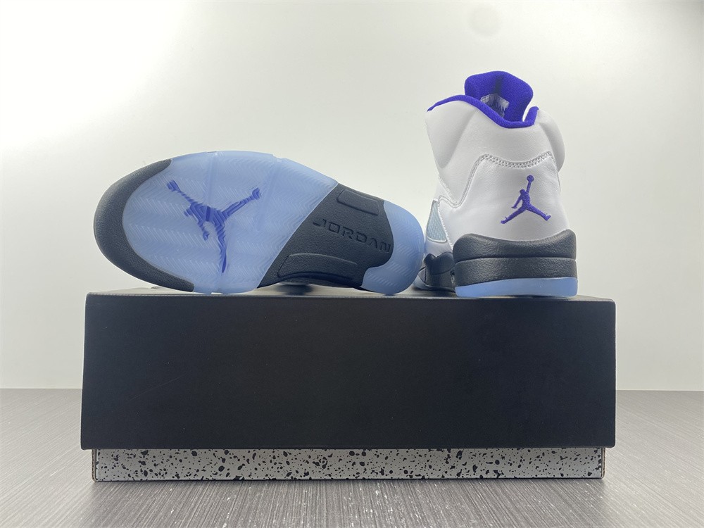 Air Jordan 5 Concord DD0587-141
