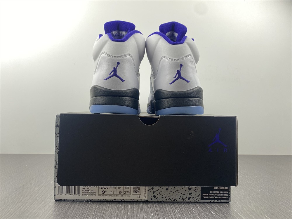 Air Jordan 5 Concord DD0587-141