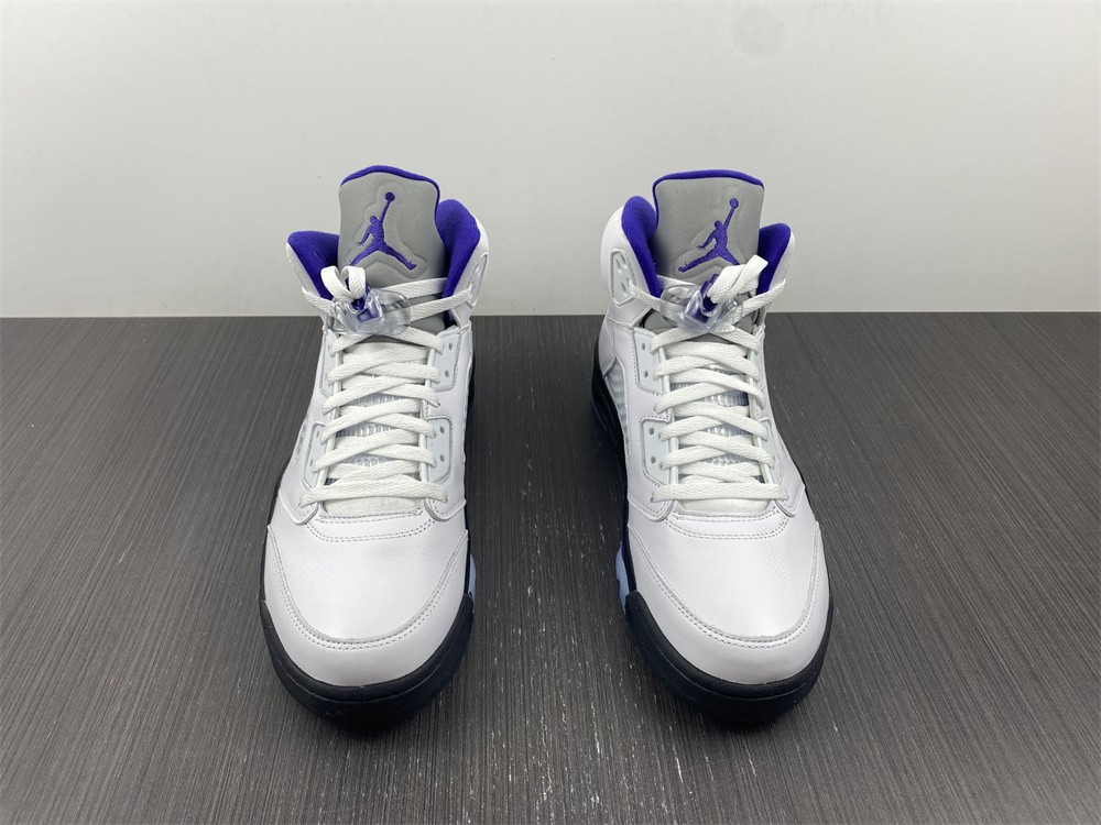 Air Jordan 5 Concord DD0587-141