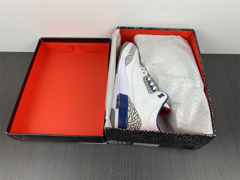 Air Jordan 3 854262-106