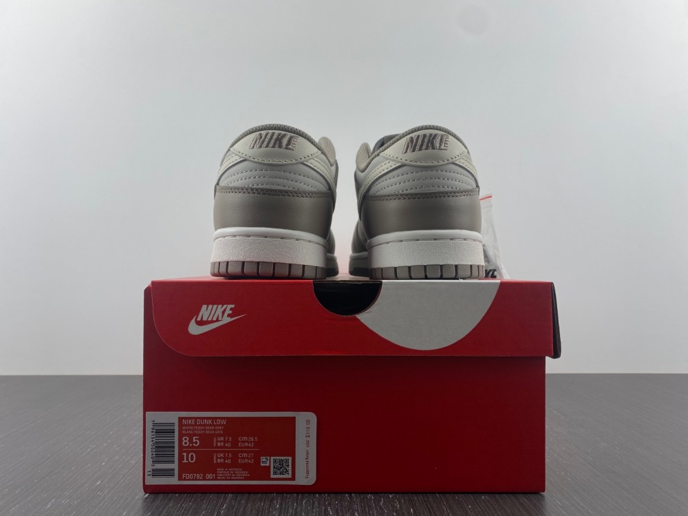 Nike Dunk Low FD0792-001