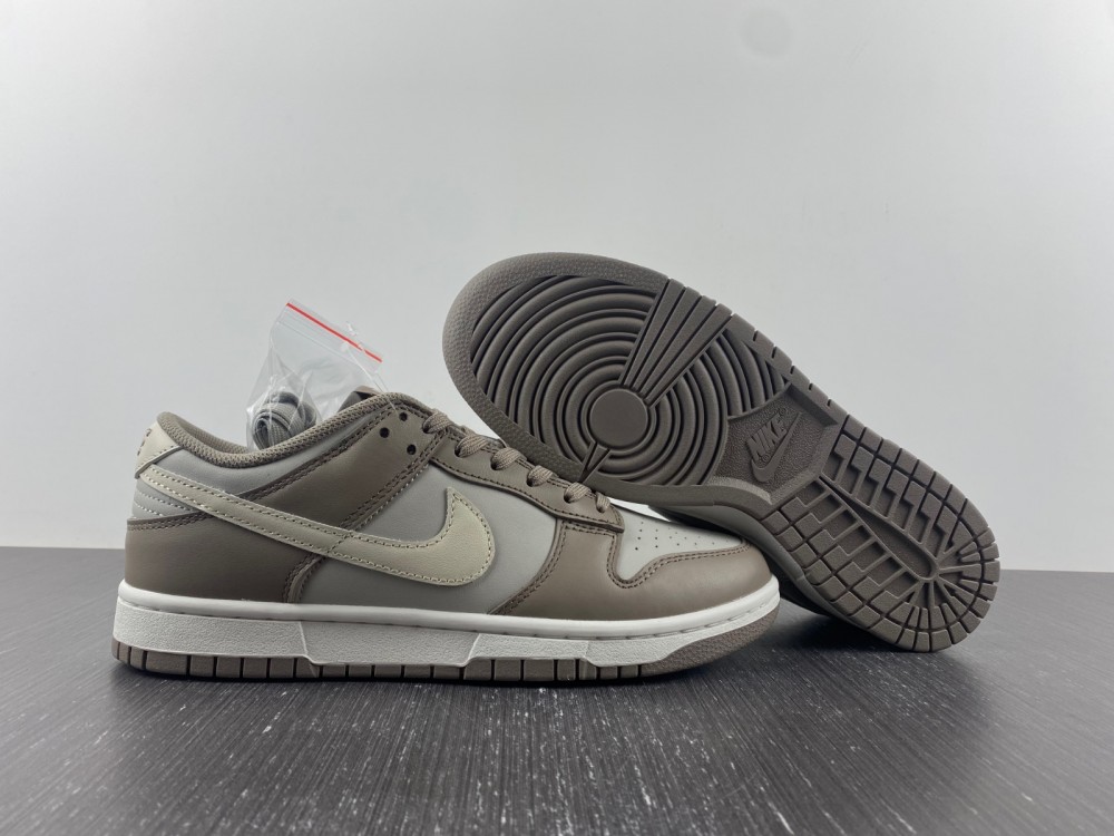 Nike Dunk Low FD0792-001