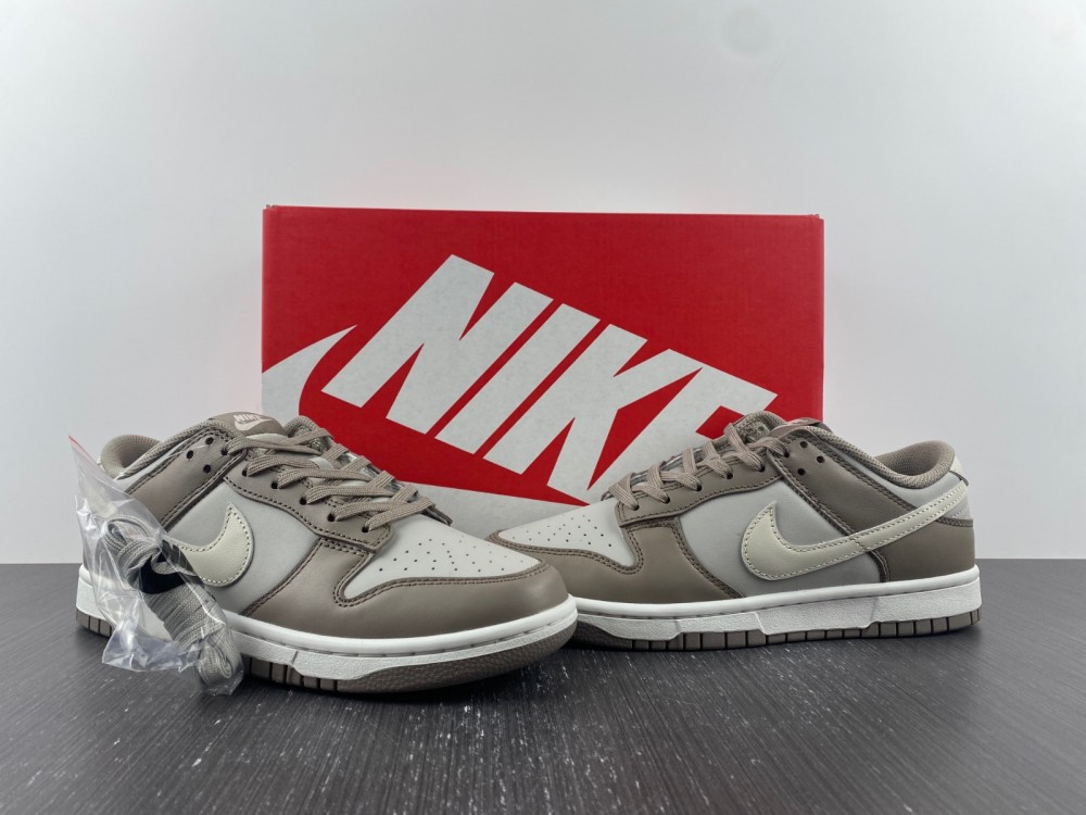 Nike Dunk Low FD0792-001