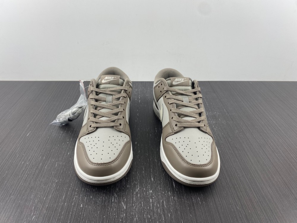 Nike Dunk Low FD0792-001