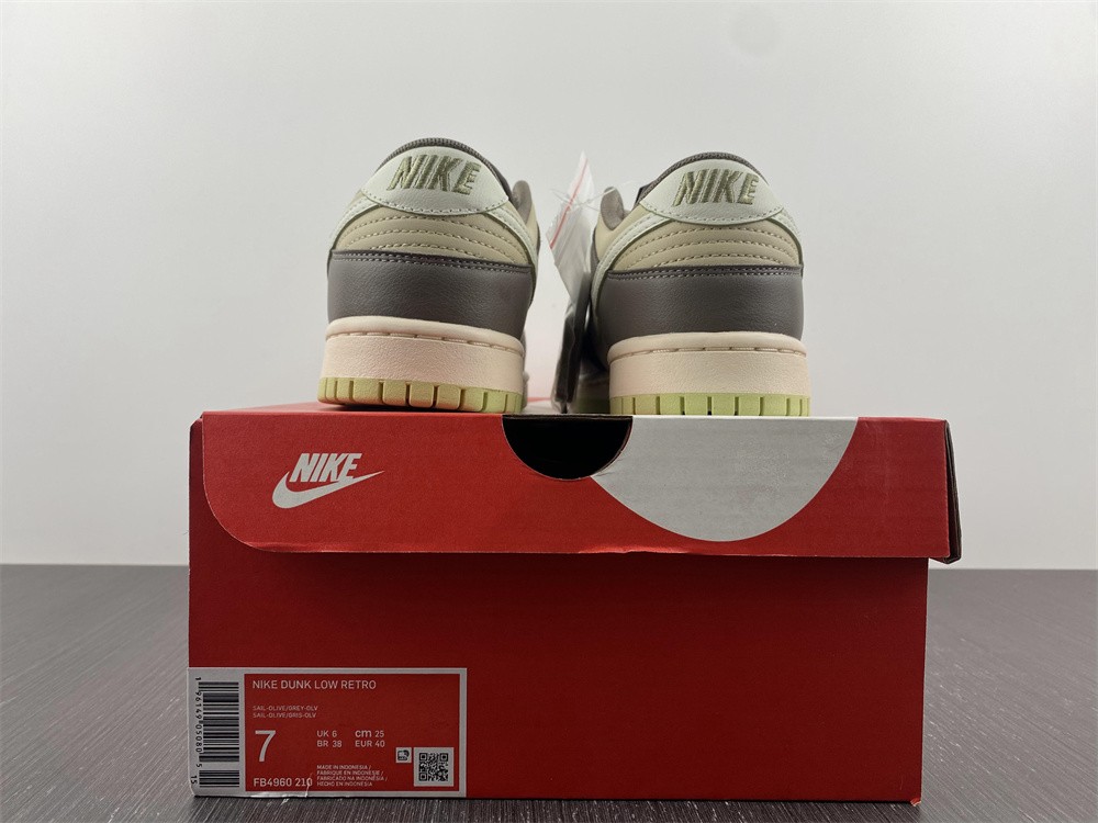 Nike SB dunk FB4960-210