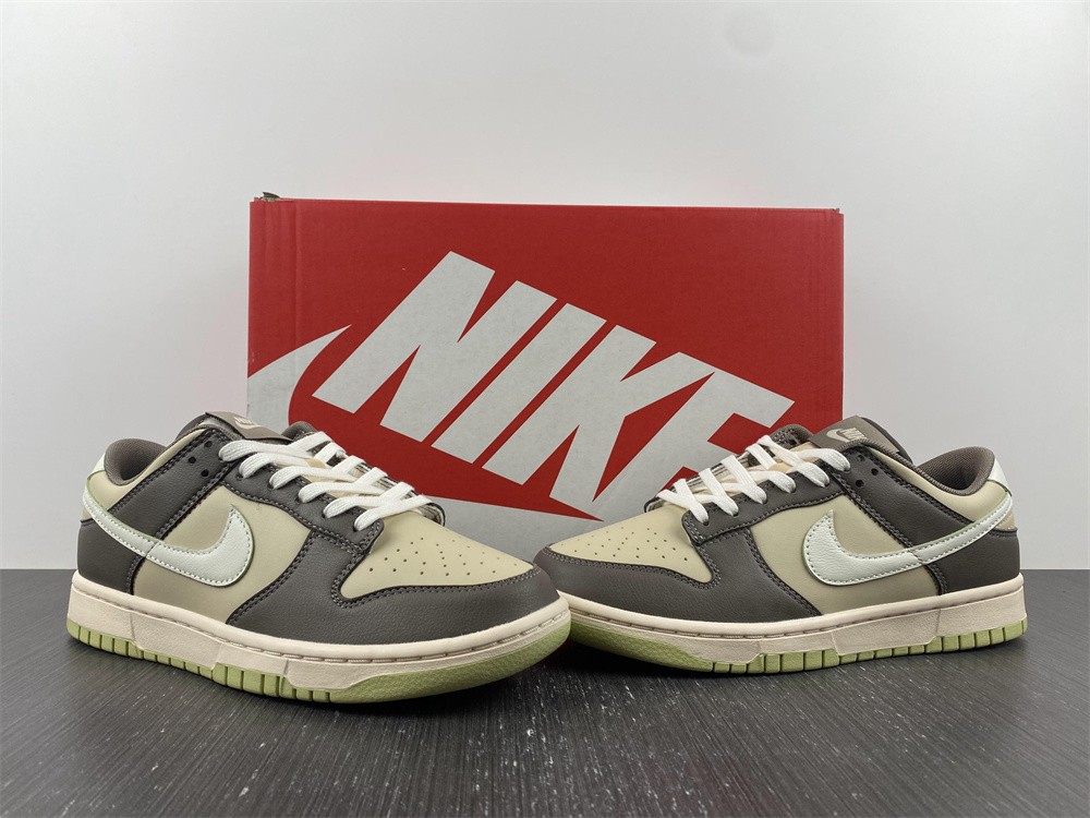 Nike SB dunk FB4960-210