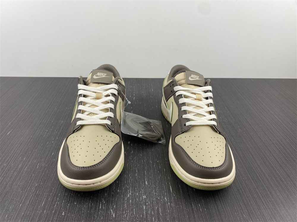 Nike SB dunk FB4960-210