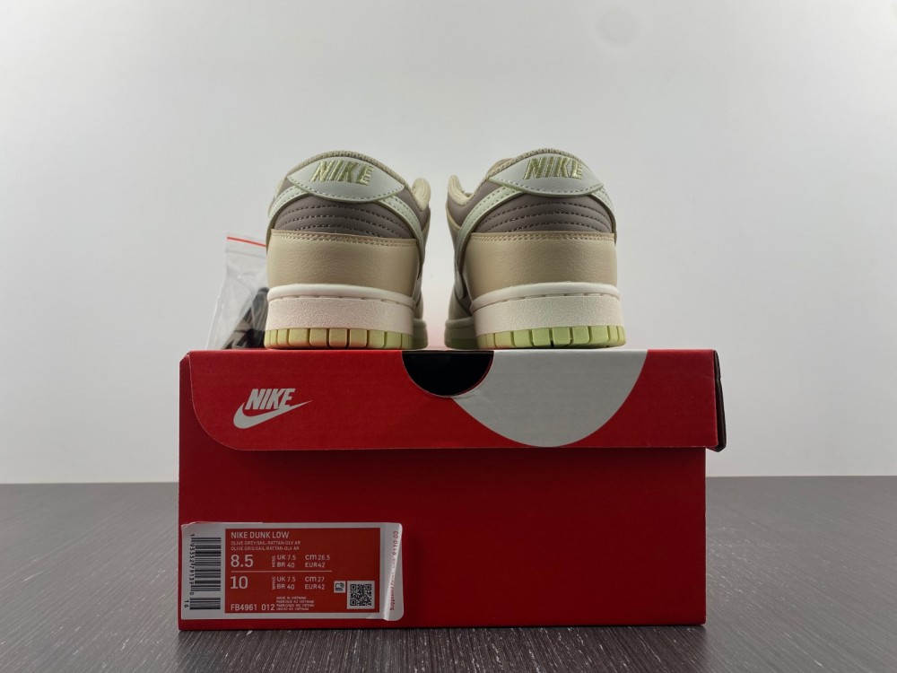 Nike SB Dunk Low FB4961-012