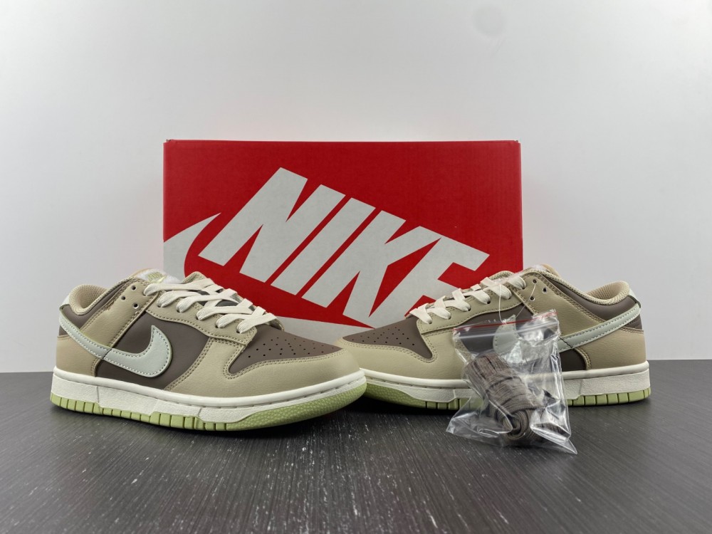 Nike SB Dunk Low FB4961-012