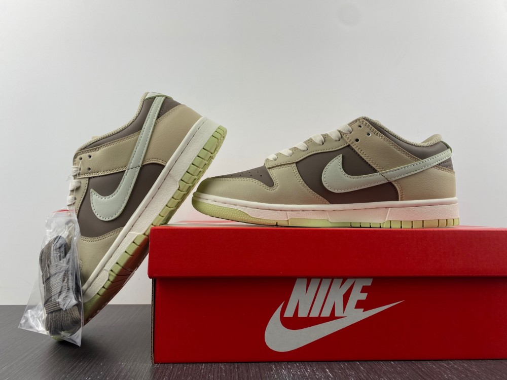 Nike SB Dunk Low FB4961-012