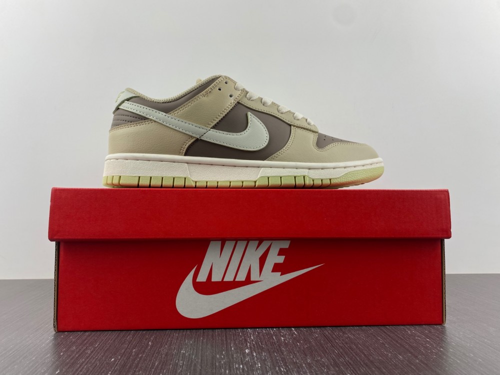 Nike SB Dunk Low FB4961-012