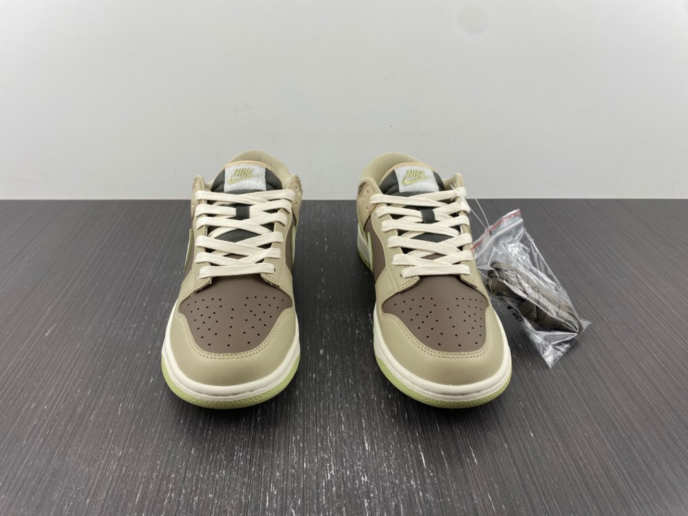 Nike SB Dunk Low FB4961-012