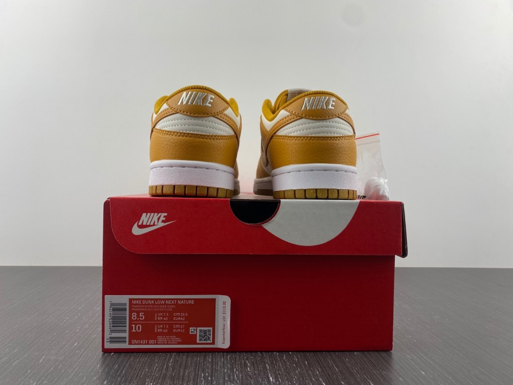 Nike Dunk Low Next Nature DN1431-001
