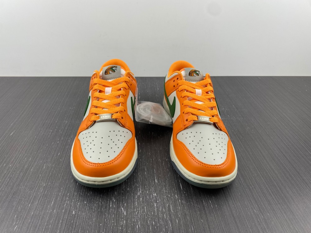 Nike Dunk Low Florida A&M University DR6188-800