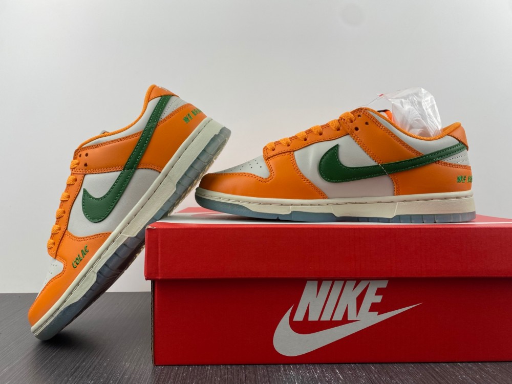 Nike Dunk Low Florida A&M University DR6188-800