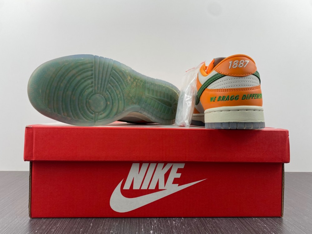 Nike Dunk Low Florida A&M University DR6188-800