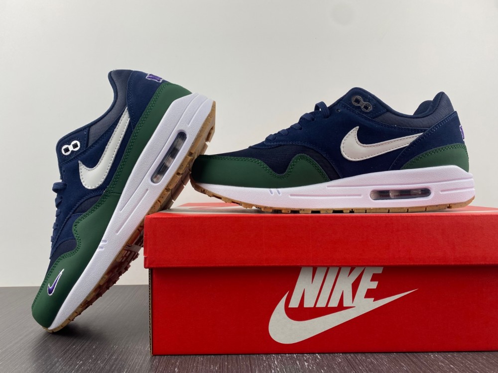 Nike Air Max 1 DV3887-400