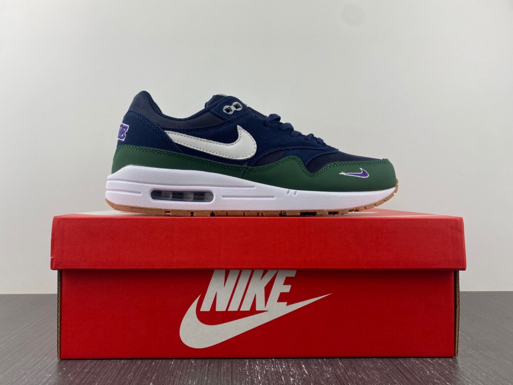 Nike Air Max 1 DV3887-400