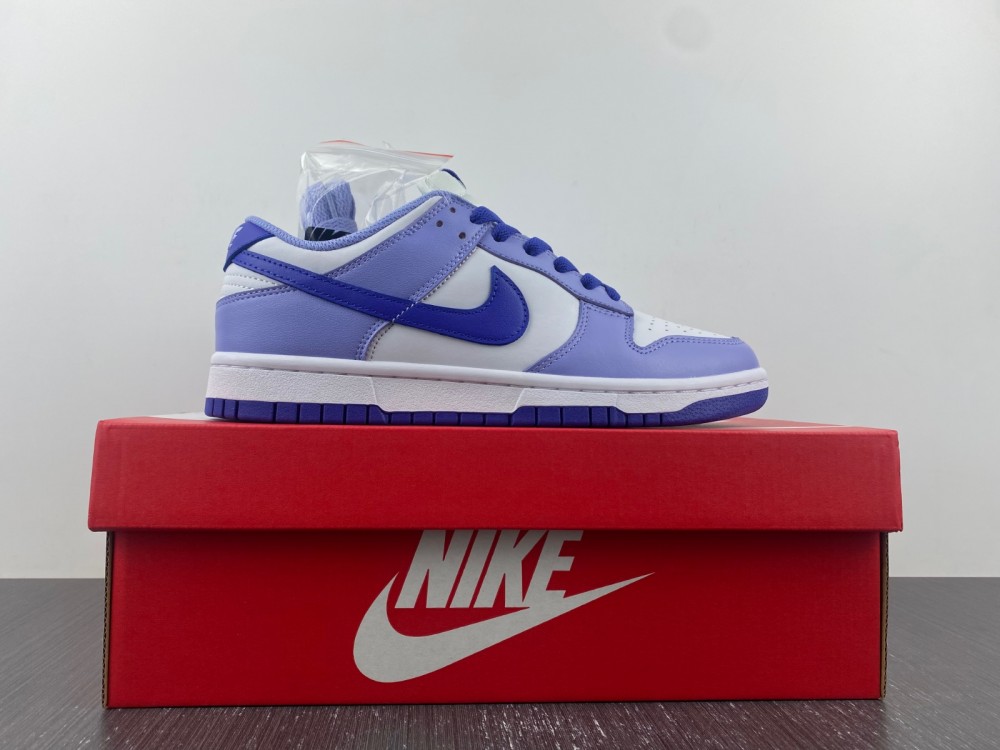 Nike Dunk Low GS Blueberry DZ4456-100