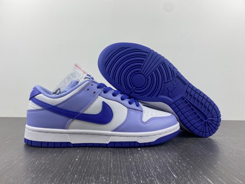 Nike Dunk Low GS Blueberry DZ4456-100
