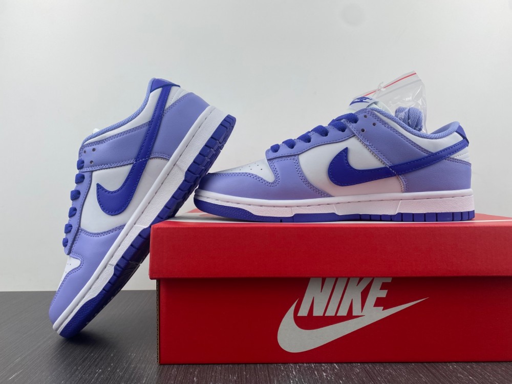 Nike Dunk Low GS Blueberry DZ4456-100