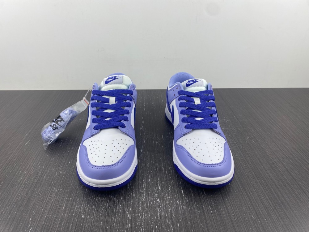 Nike Dunk Low GS Blueberry DZ4456-100