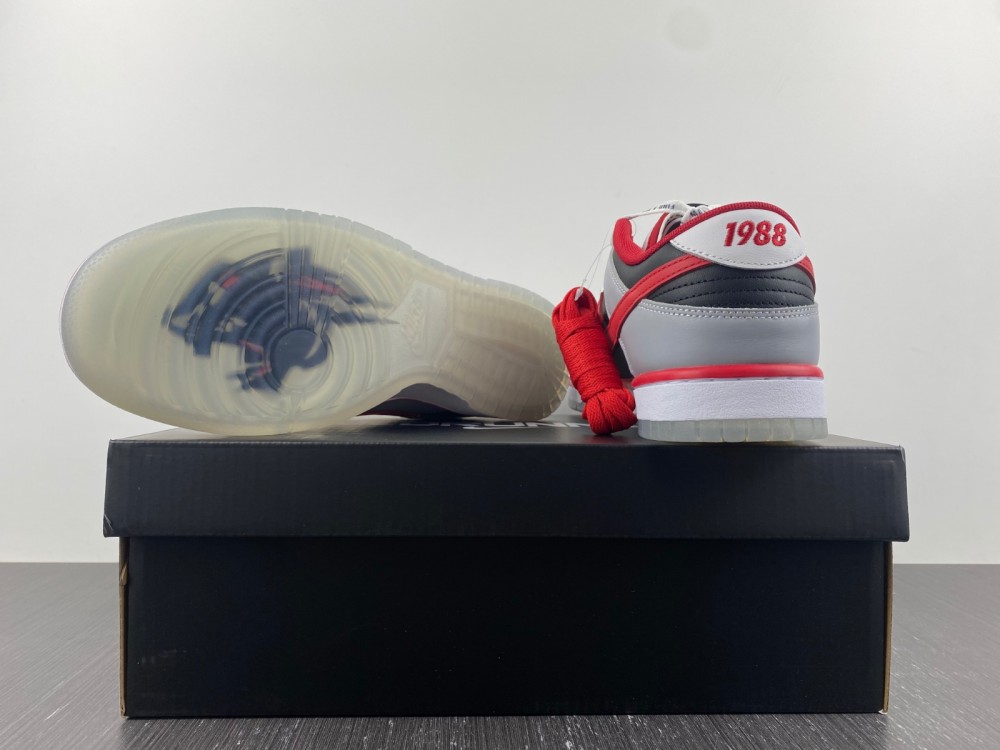 Nike Dunk Low CAU DR6189-001