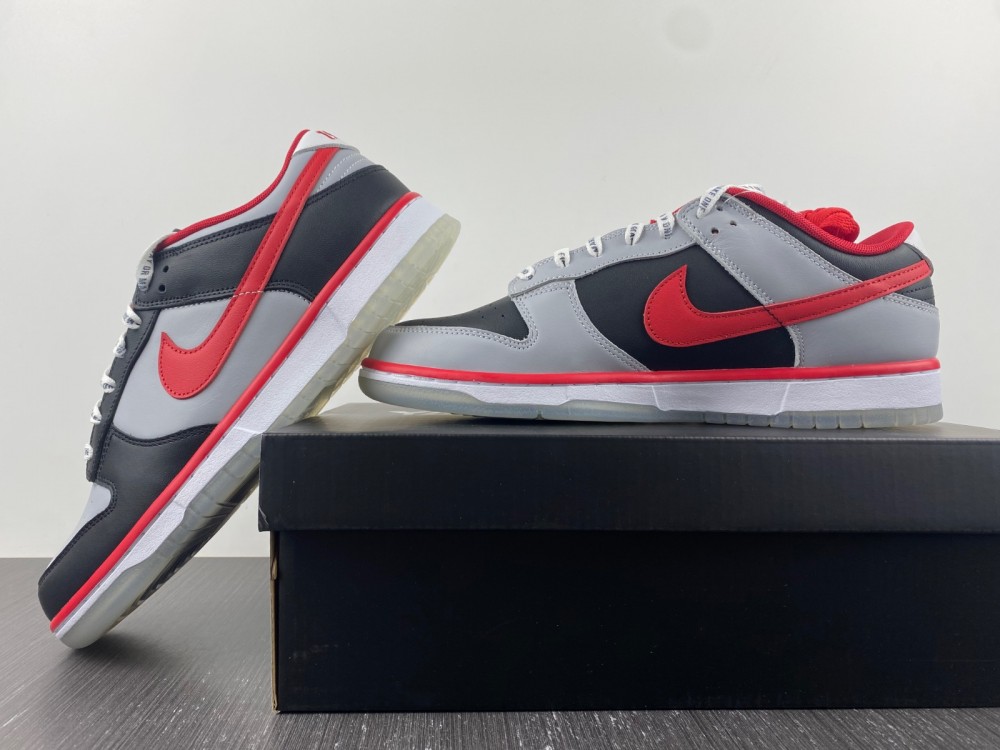 Nike Dunk Low CAU DR6189-001