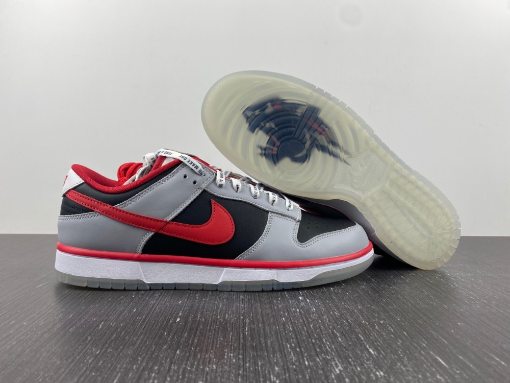 Nike Dunk Low CAU DR6189-001
